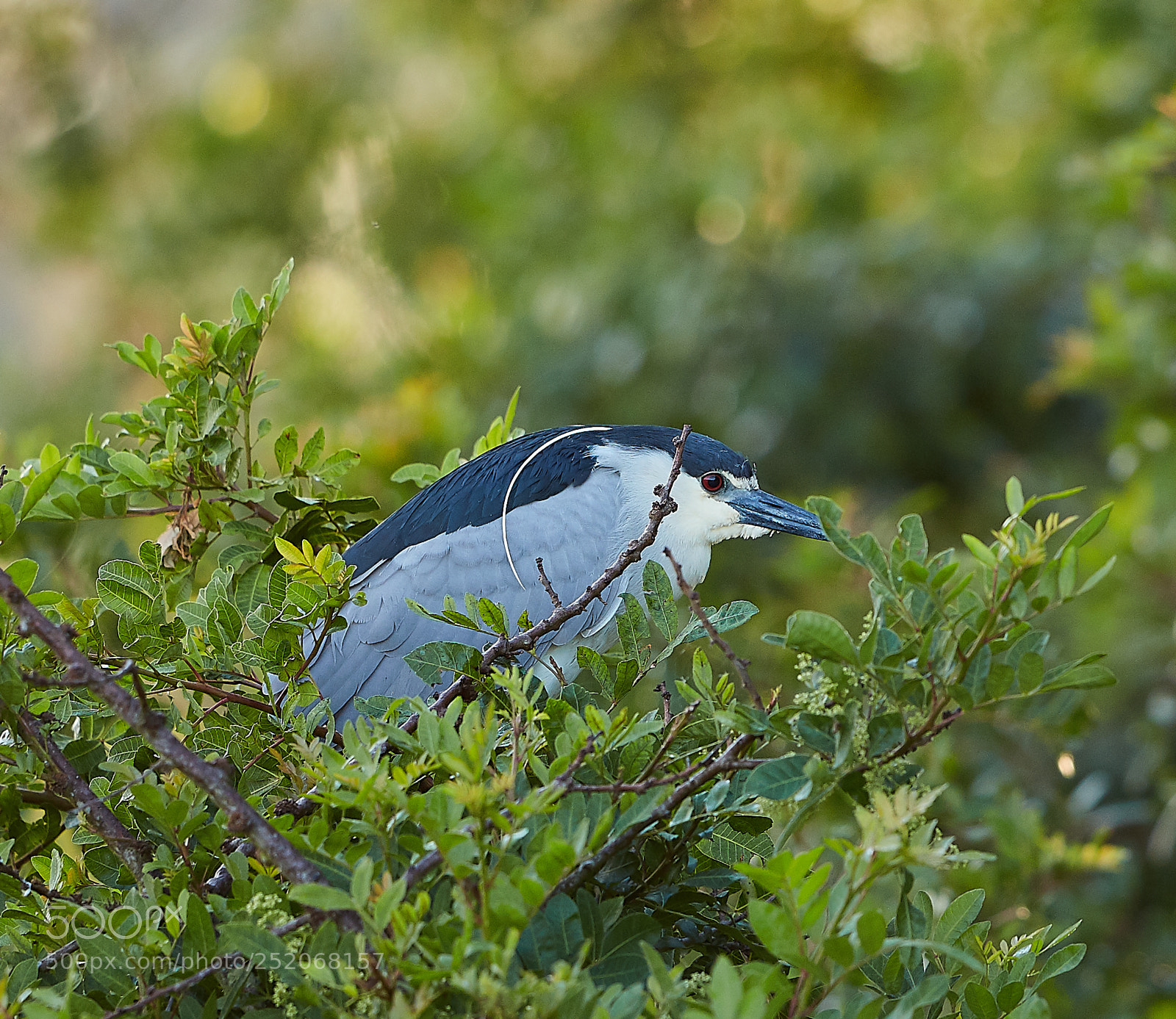 Canon EOS 5DS R sample photo. 04-03-18-0010540.jpg photography