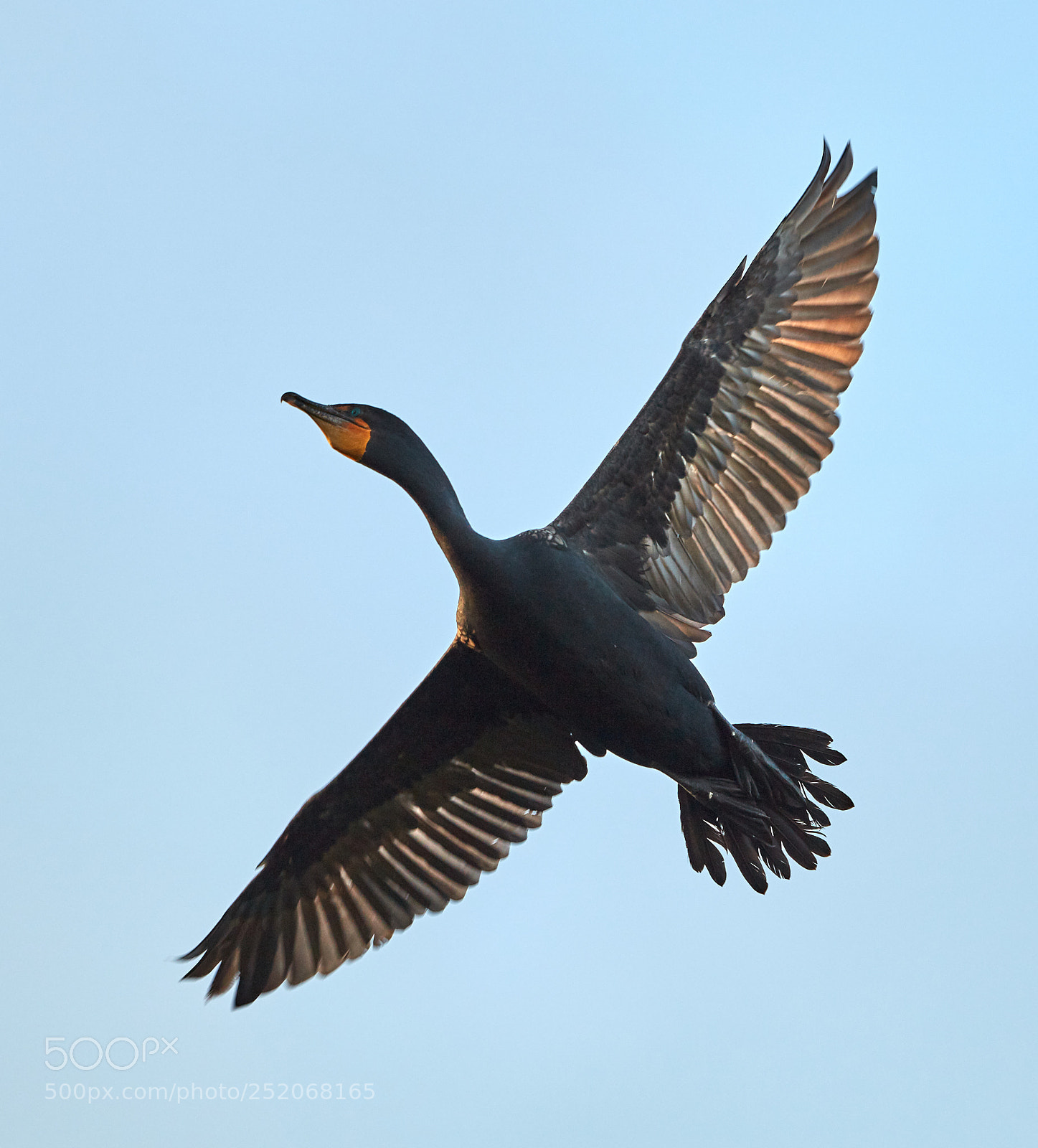 Canon EOS 5DS R sample photo. 04-03-18-0010536.jpg photography