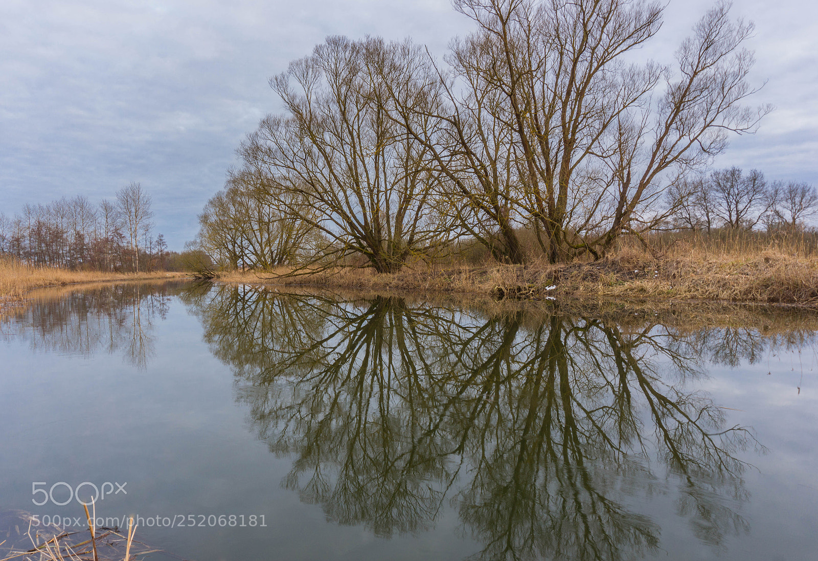 Sony a6000 sample photo. Dsc photography