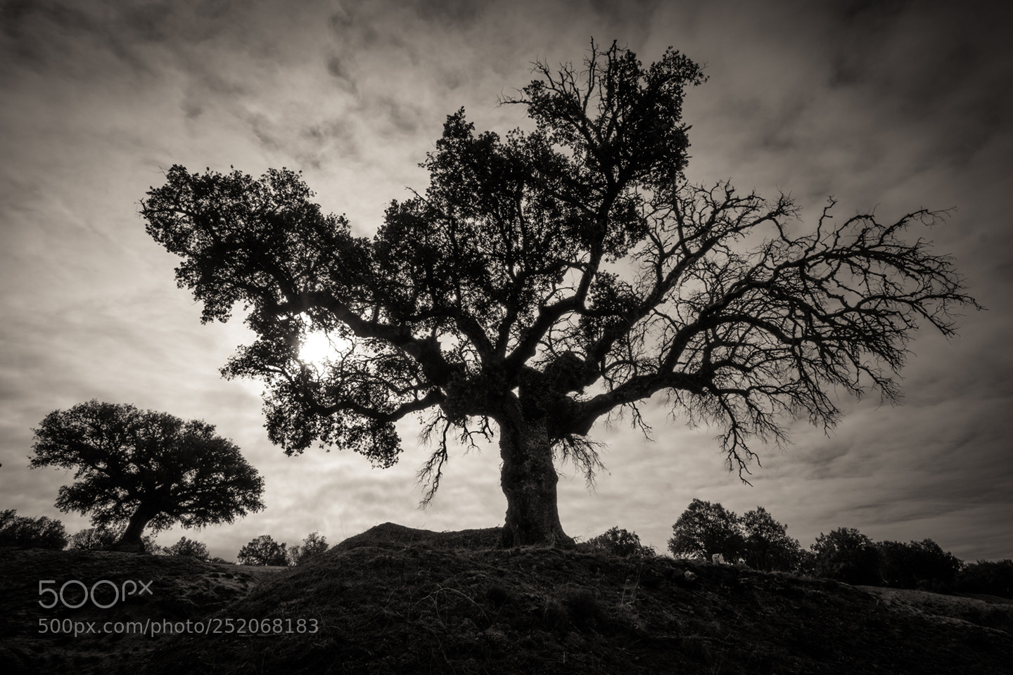 Fujifilm X-Pro2 sample photo. El abrazo photography