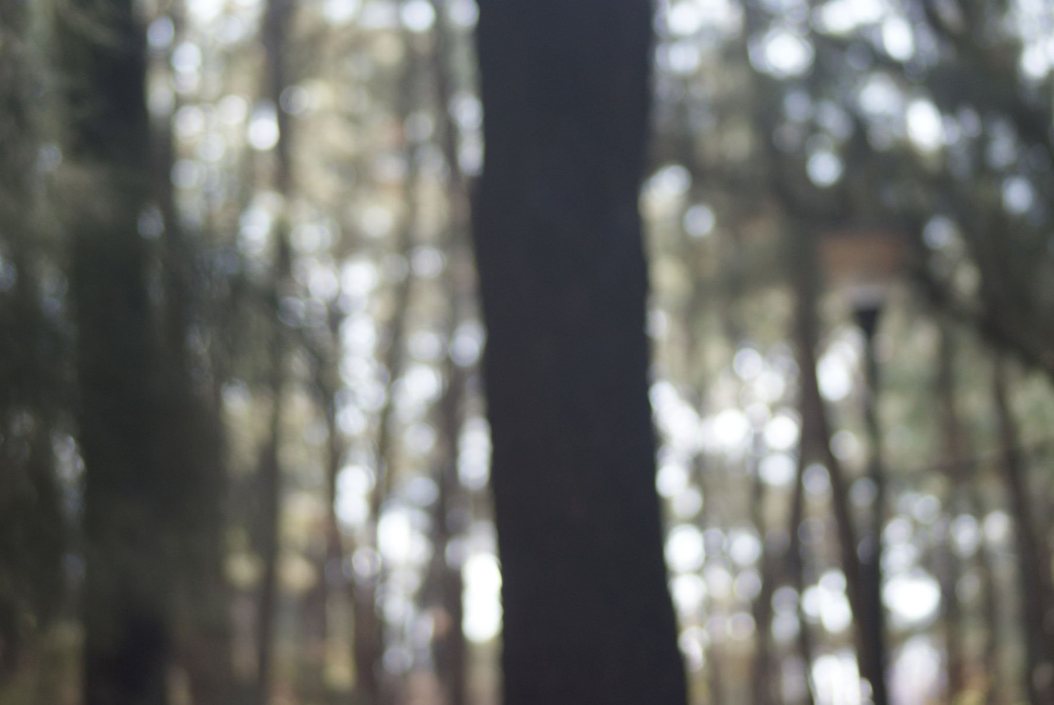 Sony 75-300mm F4.5-5.6 sample photo. Luz photography