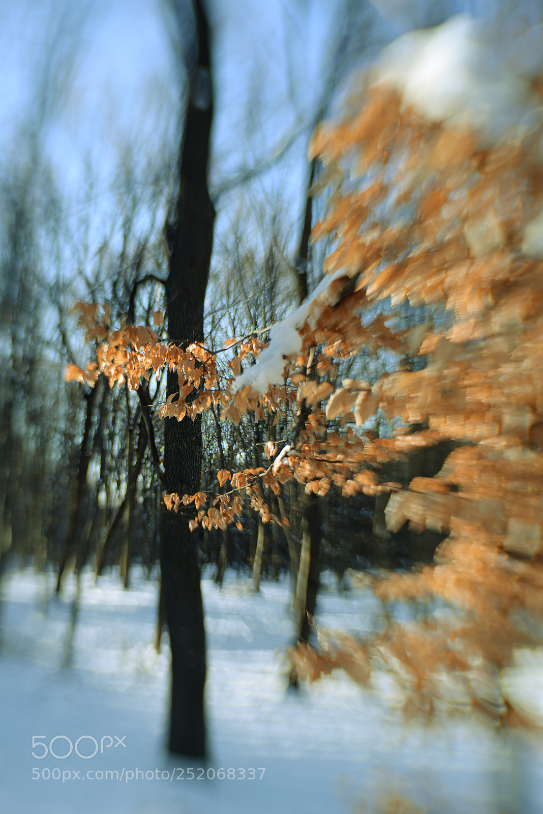 Nikon D610 sample photo. Untitled photography