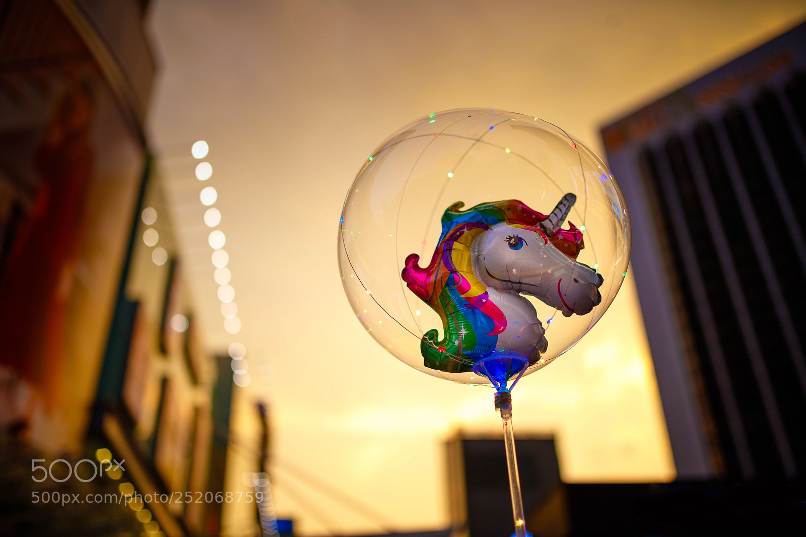 Canon EOS 5DS sample photo. #unicorns photography