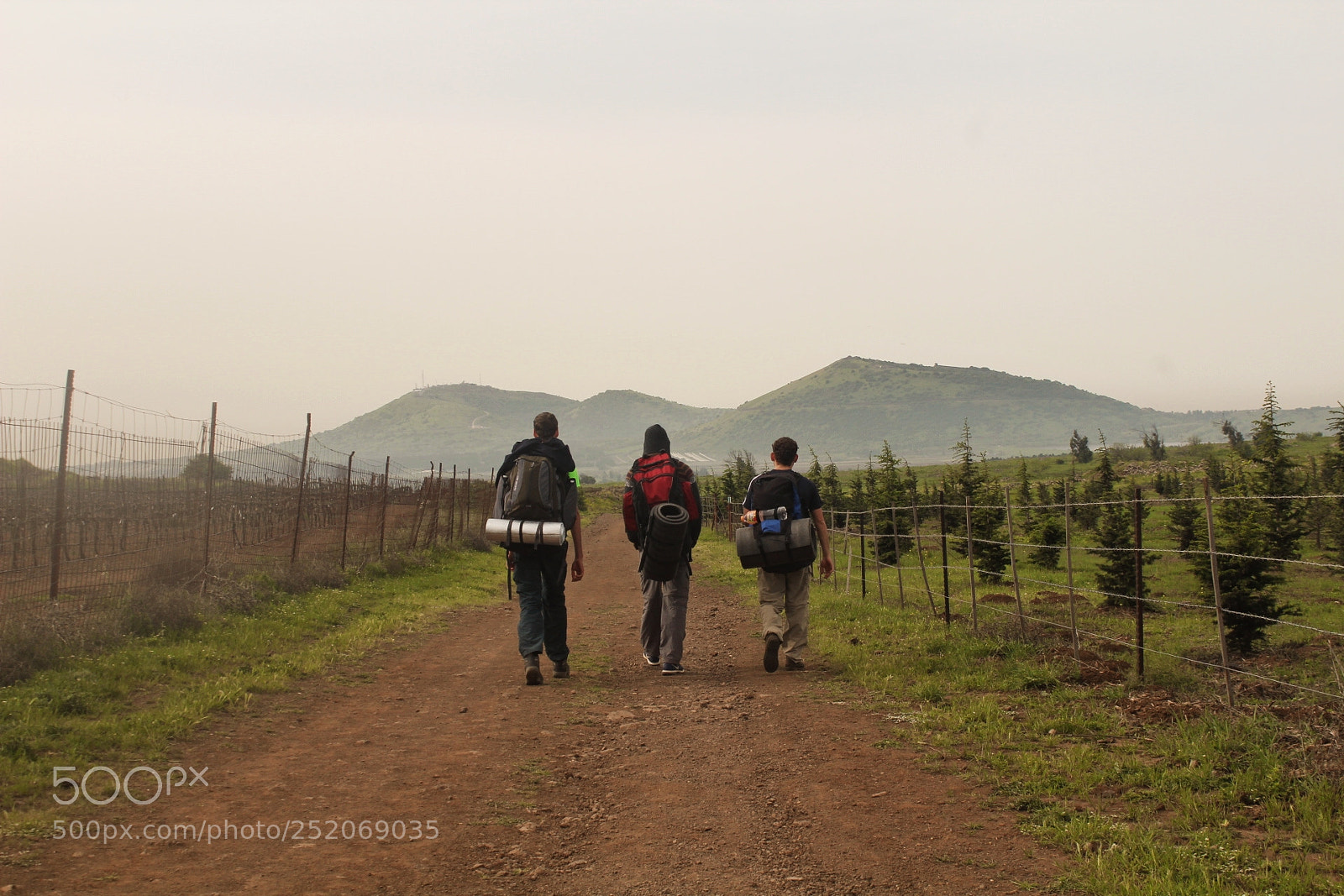 Canon EOS 1300D (EOS Rebel T6 / EOS Kiss X80) sample photo. The golan trail photography