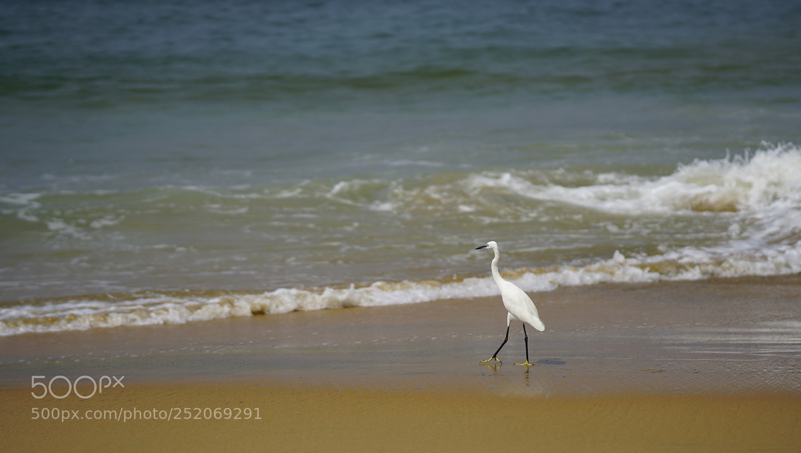 Sony a6500 sample photo. Ocean coast with waves photography