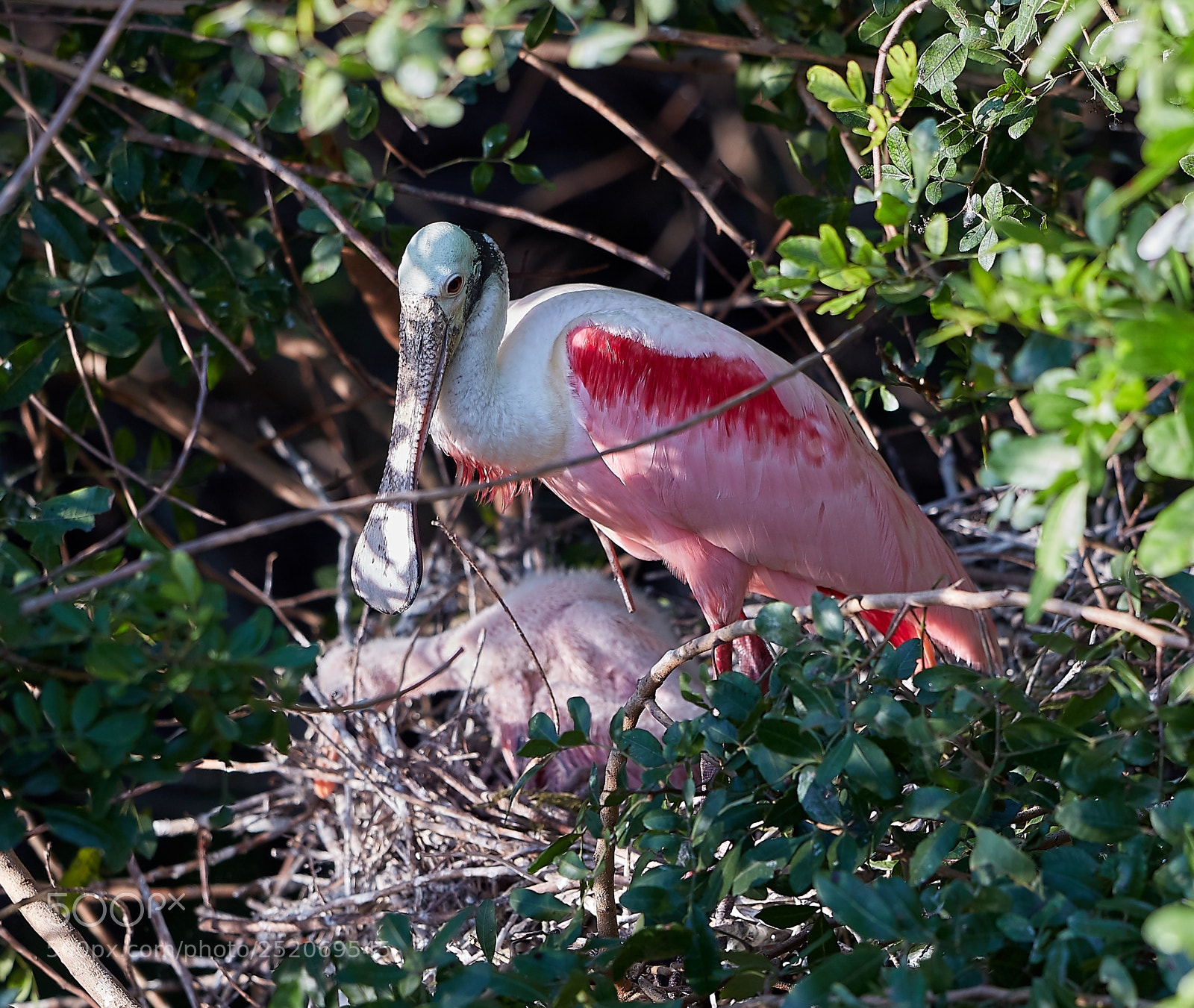 Canon EOS 5DS R sample photo. 04-03-18-0010441.jpg photography