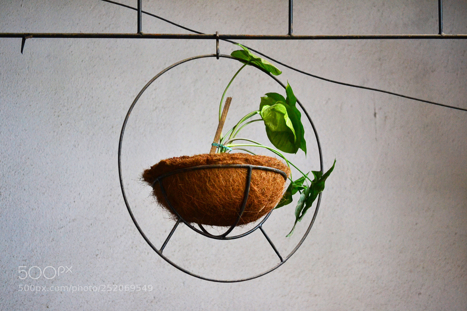 Nikon D3100 sample photo. Weekend photography