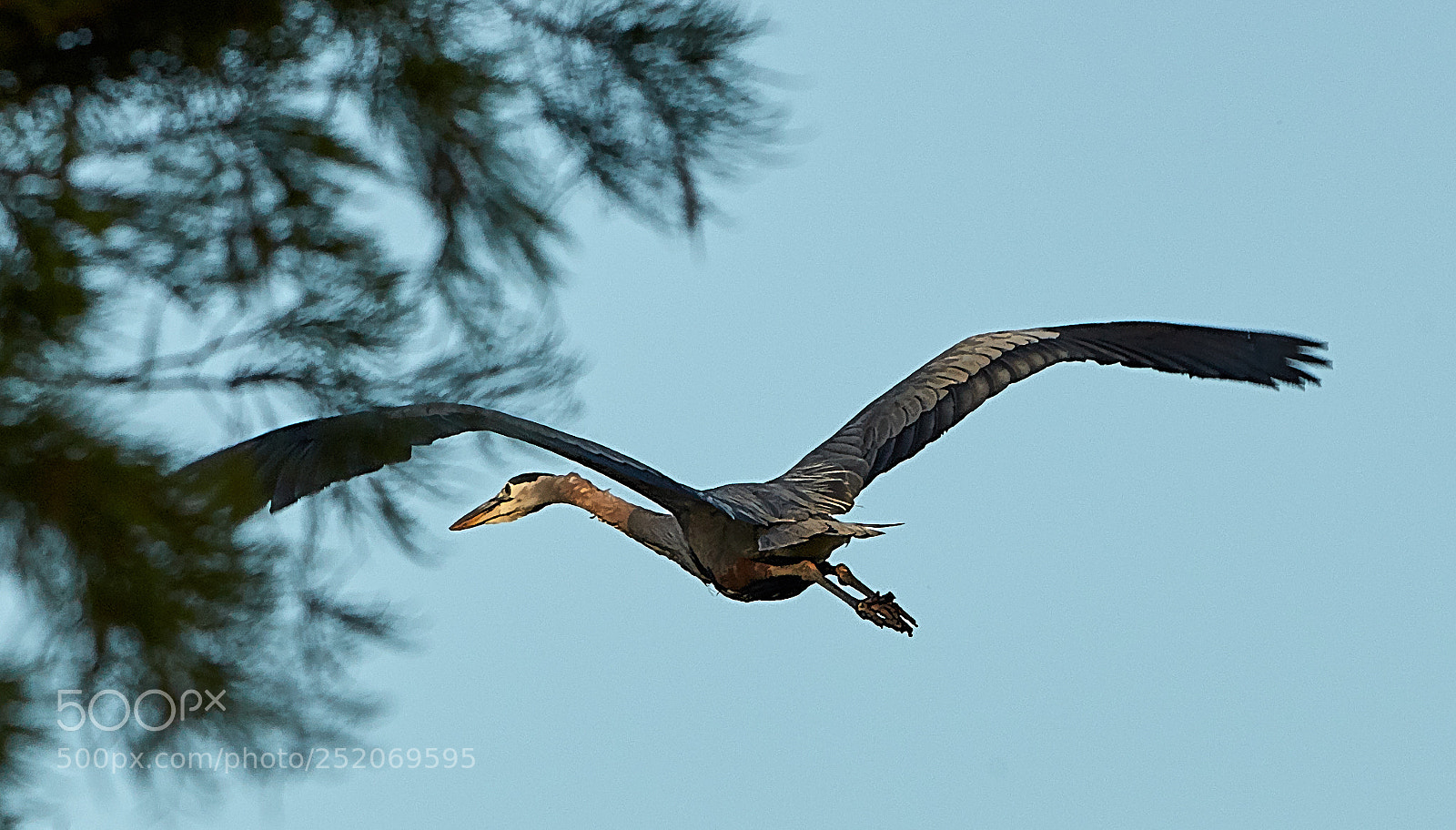 Canon EOS 5DS R sample photo. 04-03-18-0010433.jpg photography