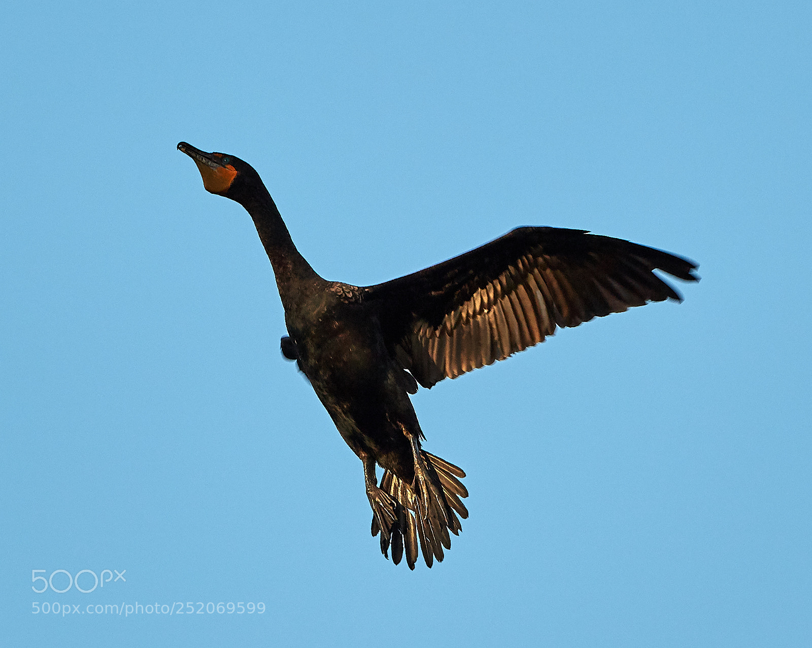 Canon EOS 5DS R sample photo. 04-03-18-0010426.jpg photography