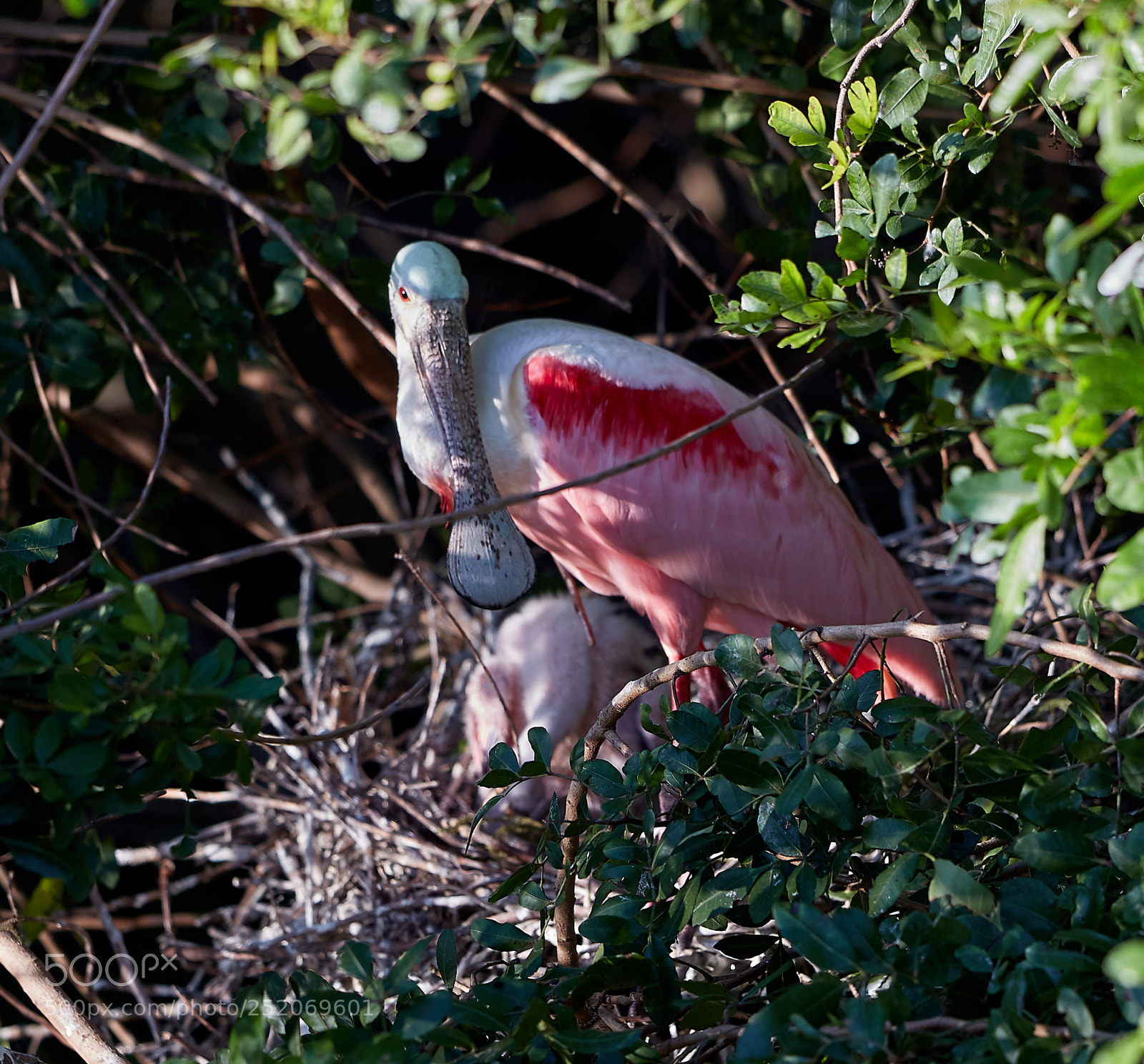 Canon EOS 5DS R sample photo. 04-03-18-0010421.jpg photography