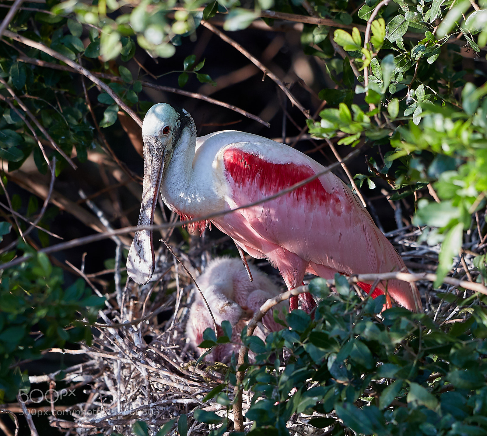 Canon EOS 5DS R sample photo. 04-03-18-0010422.jpg photography