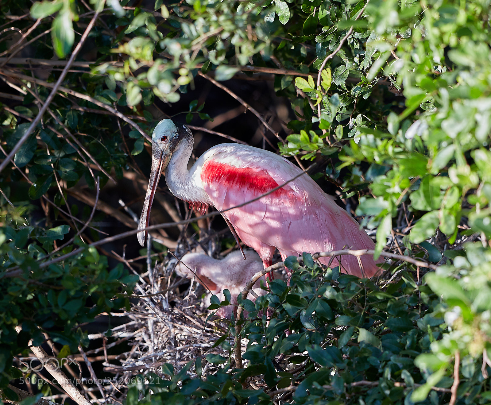 Canon EOS 5DS R sample photo. 04-03-18-0010399.jpg photography