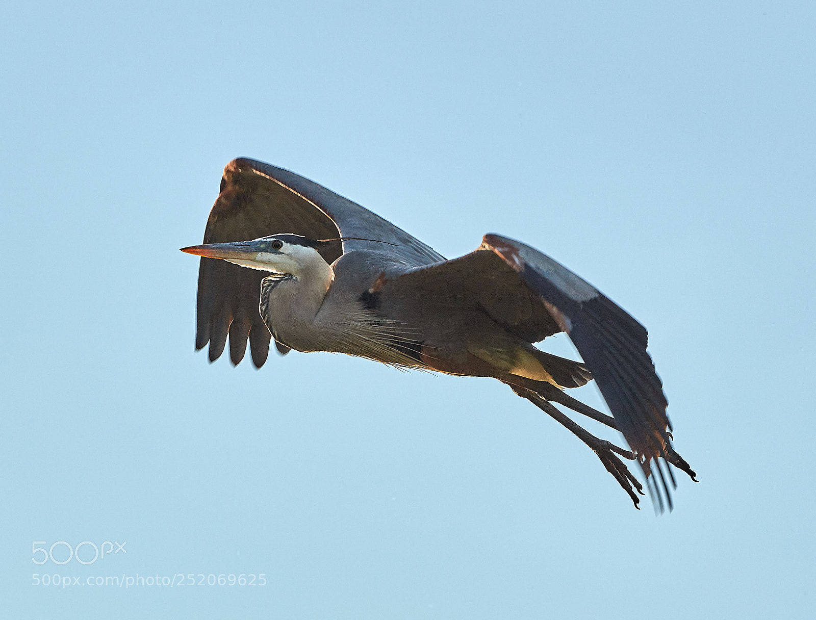 Canon EOS 5DS R sample photo. 04-03-18-0010392.jpg photography