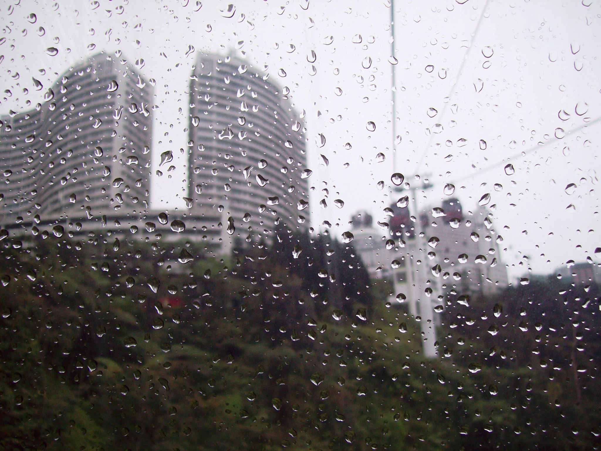 Kodak EASYSHARE C813 ZOOM DIGITAL CAMERA sample photo. Rain droplets.. photography