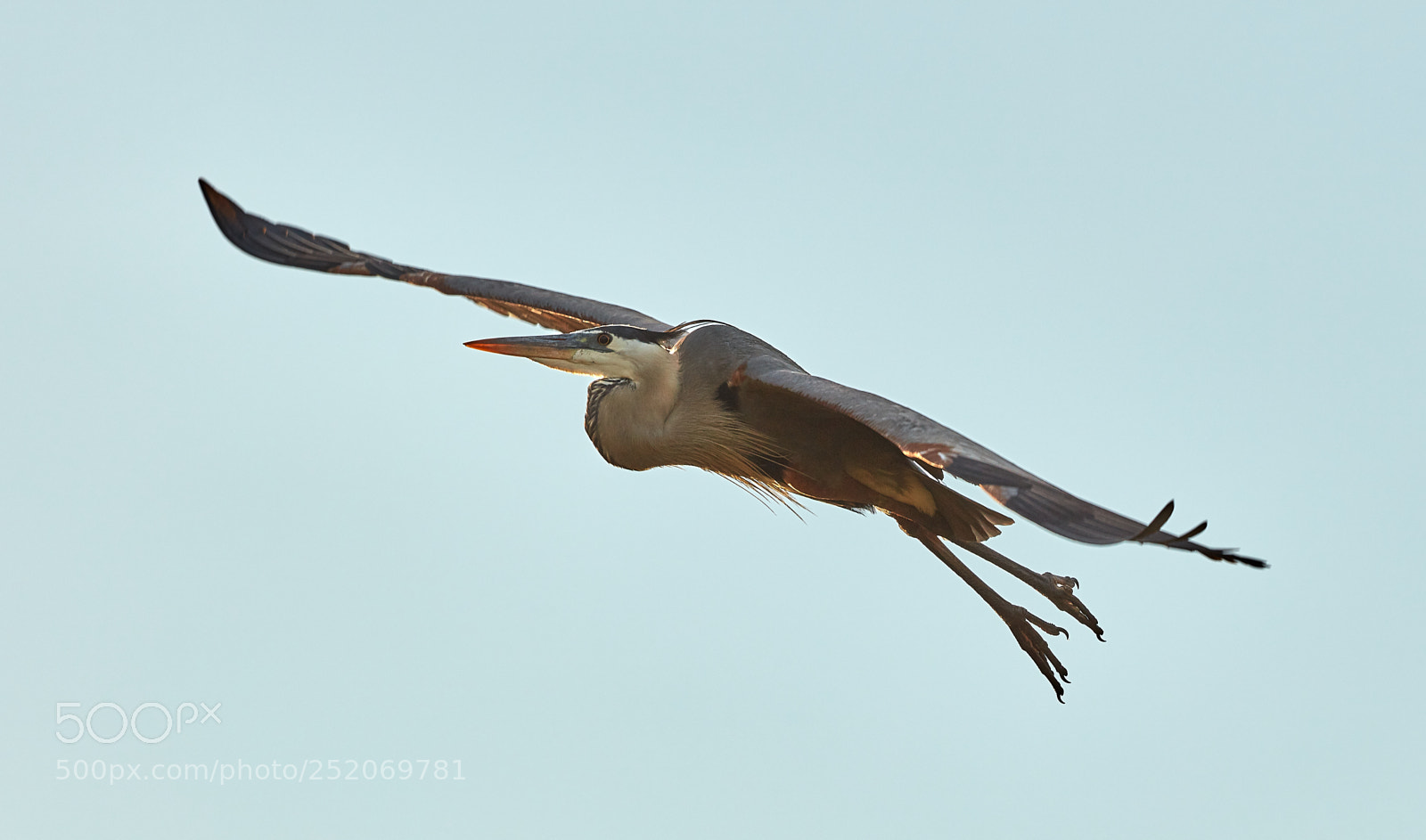 Canon EOS 5DS R sample photo. 04-03-18-0010391.jpg photography