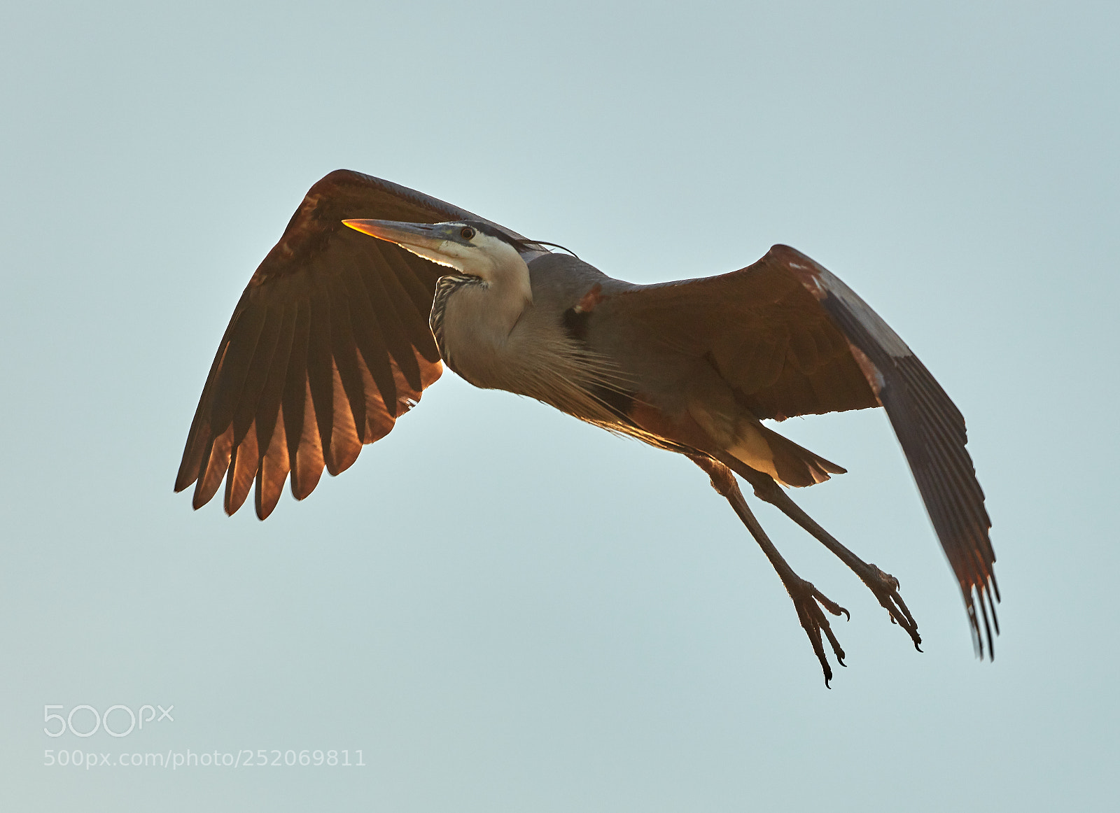 Canon EOS 5DS R sample photo. 04-03-18-0010390.jpg photography