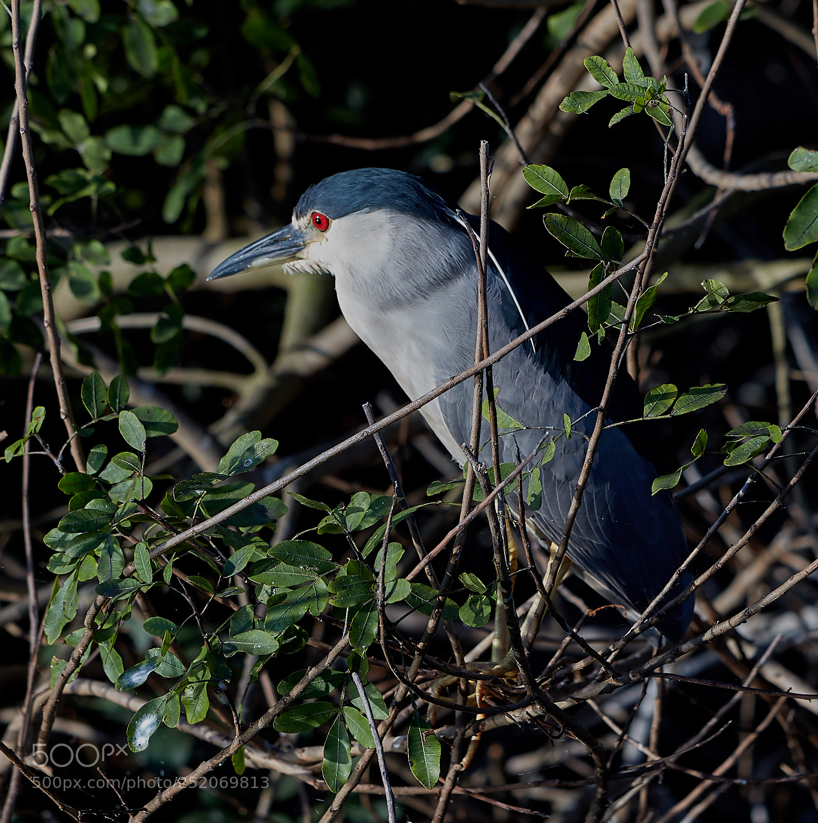 Canon EOS 5DS R sample photo. 04-03-18-0010384.jpg photography