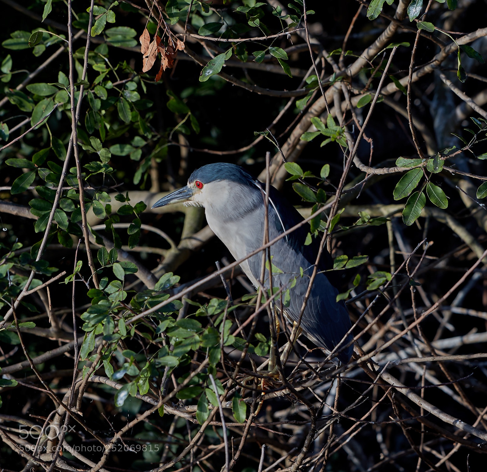 Canon EOS 5DS R sample photo. 04-03-18-0010383.jpg photography