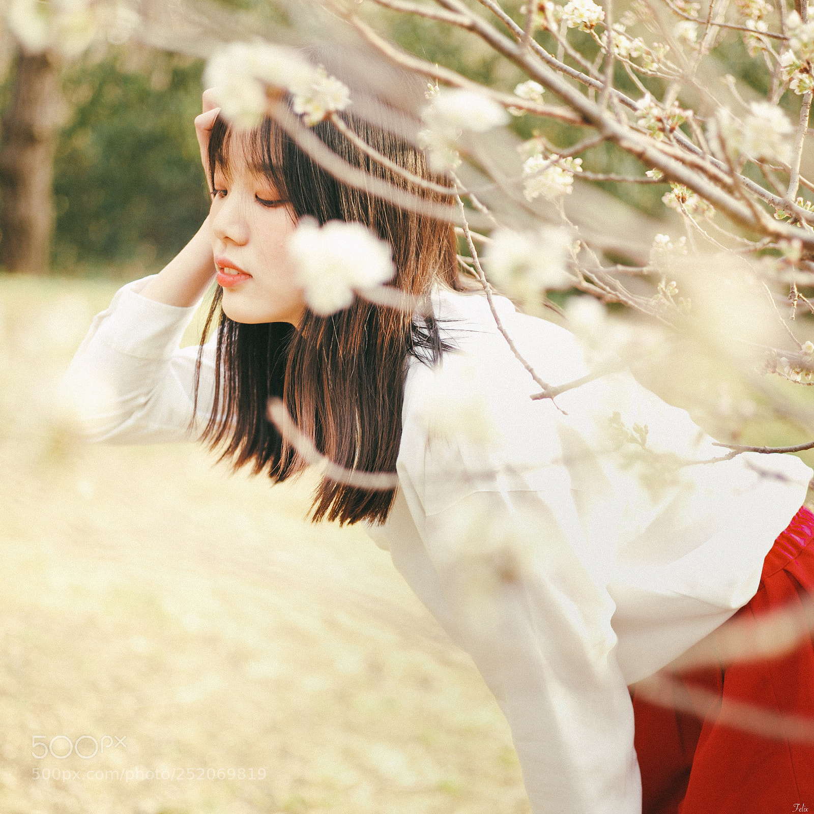 Leica M (Typ 240) sample photo. Cherry blossom girl photography