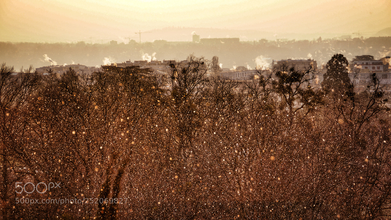 Sony SLT-A65 (SLT-A65V) sample photo. Winter's way to say photography