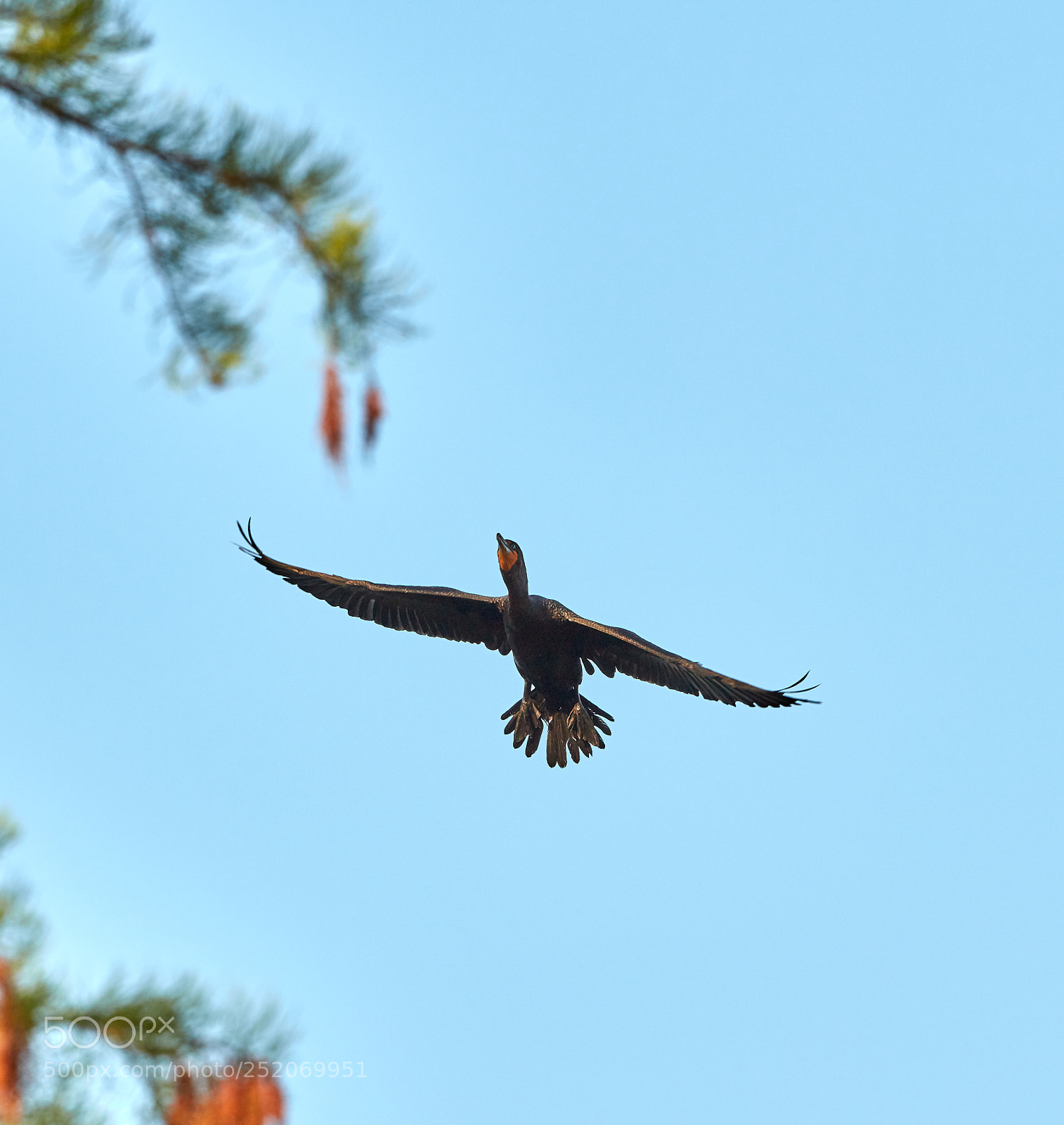 Canon EOS 5DS R sample photo. 04-03-18-0010373.jpg photography