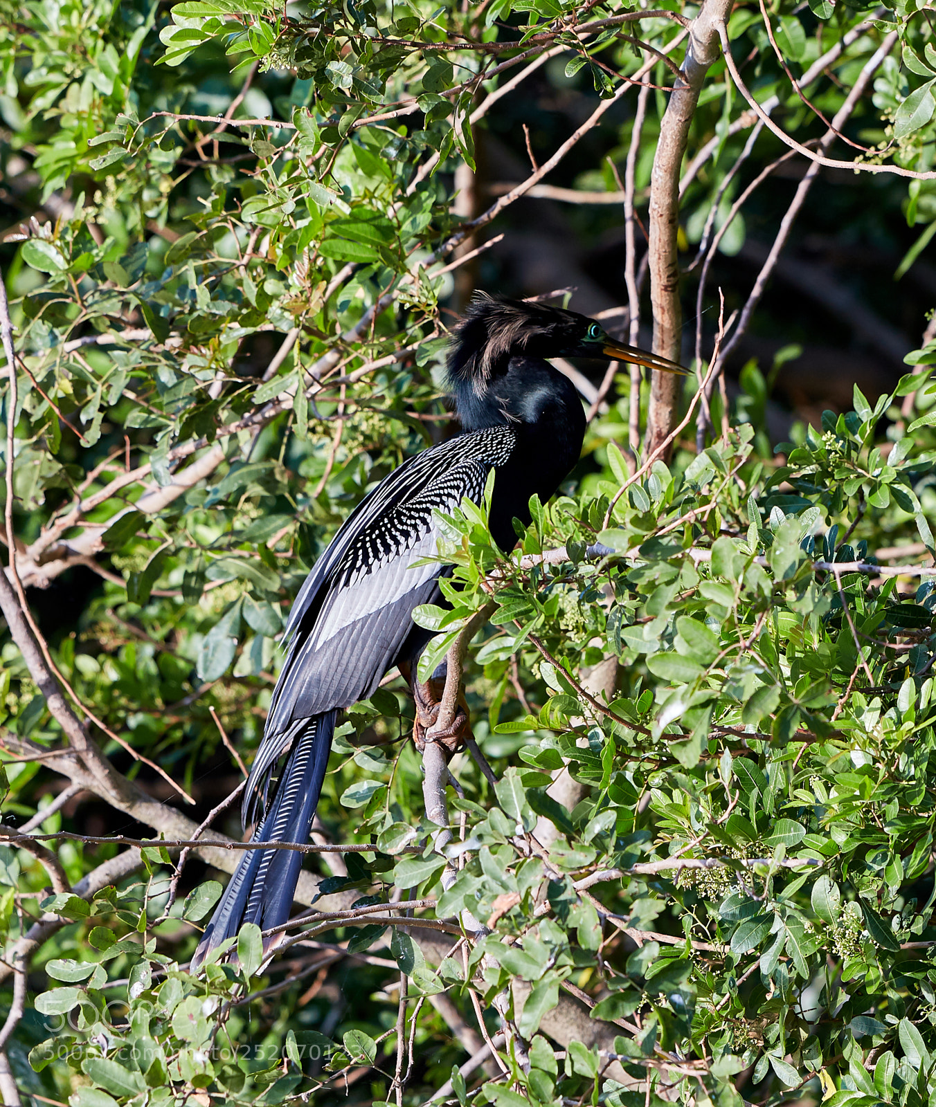 Canon EOS 5DS R sample photo. 04-03-18-0010363.jpg photography