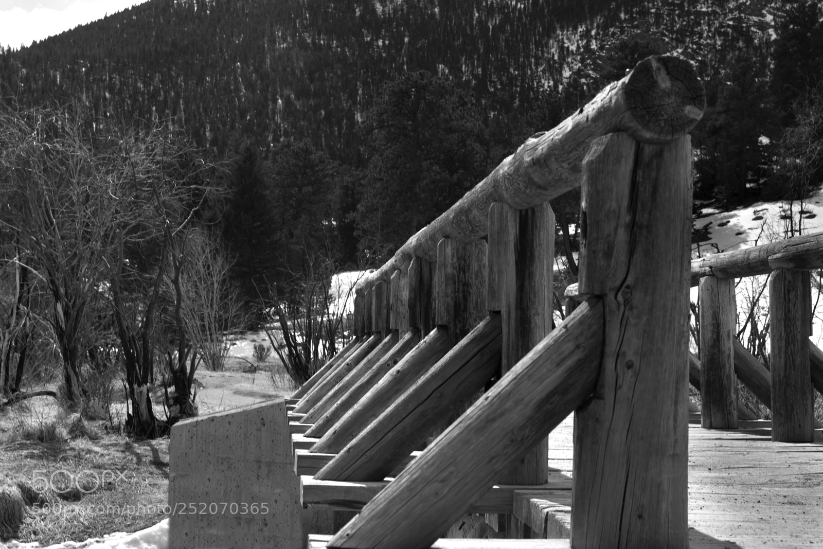 Nikon D7100 sample photo. Timber braces photography