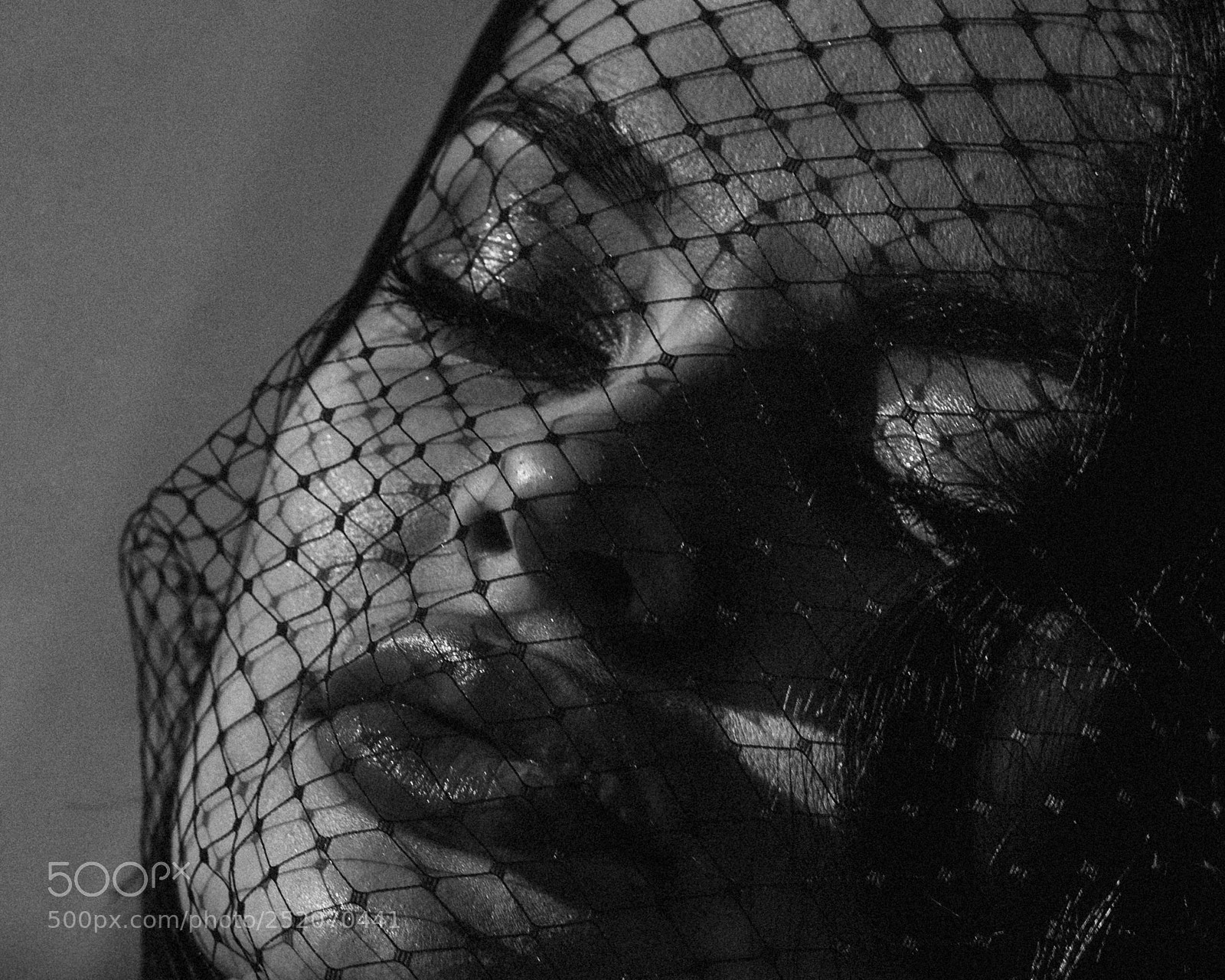 Canon EOS 5D Mark IV sample photo. Untitled photography