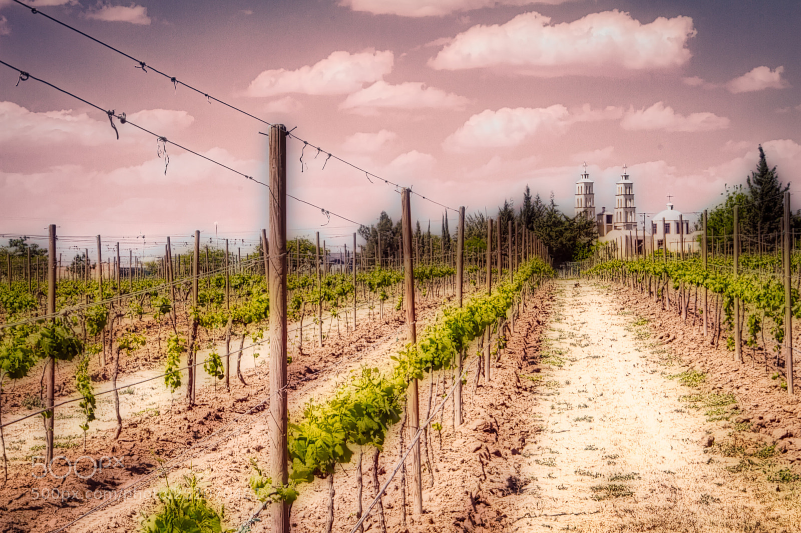 Canon EOS 7D sample photo. Sky in wine photography