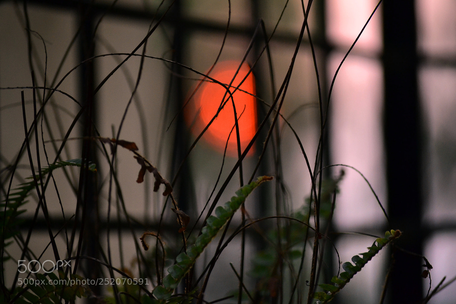 Nikon D3100 sample photo. A random sunset photography