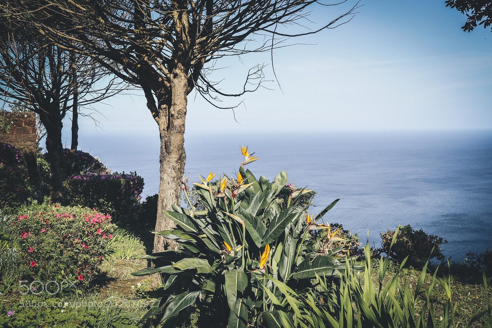 Canon EOS M6 sample photo. San miguel, azoren pt photography