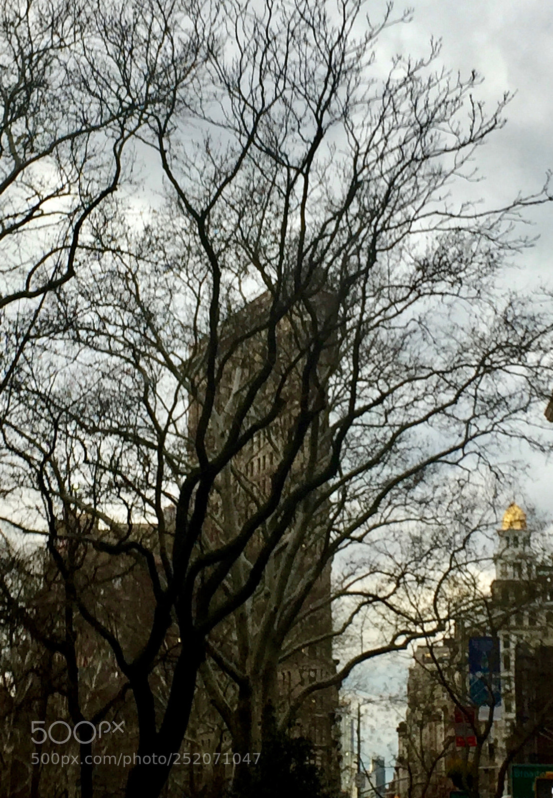 Apple iPhone 6 sample photo. Img photography