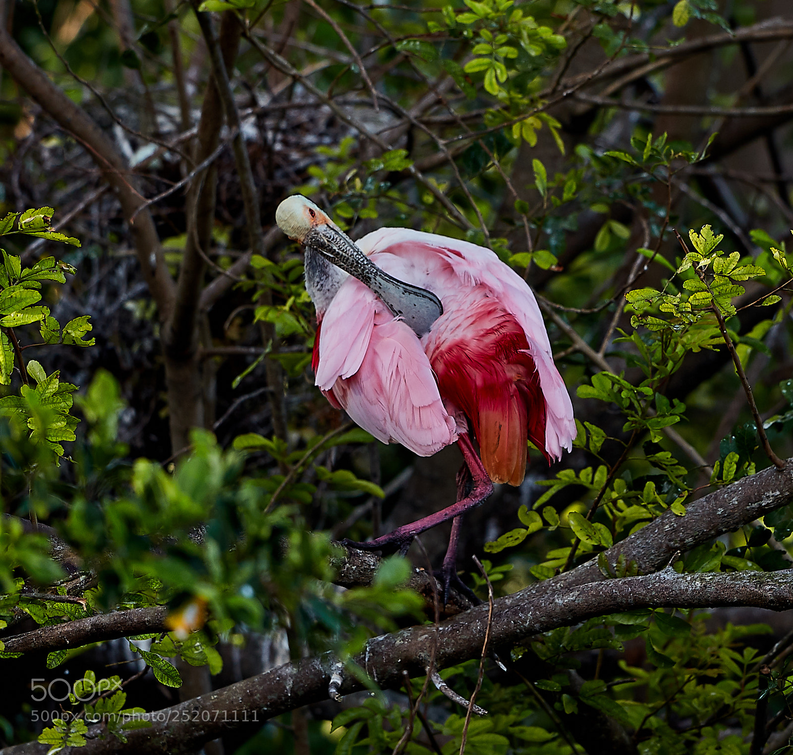 Canon EOS 5DS R sample photo. 04-03-18-0010467.jpg photography