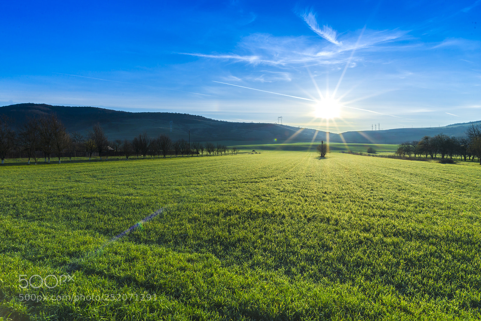Nikon D800 sample photo. Morning springtime photography