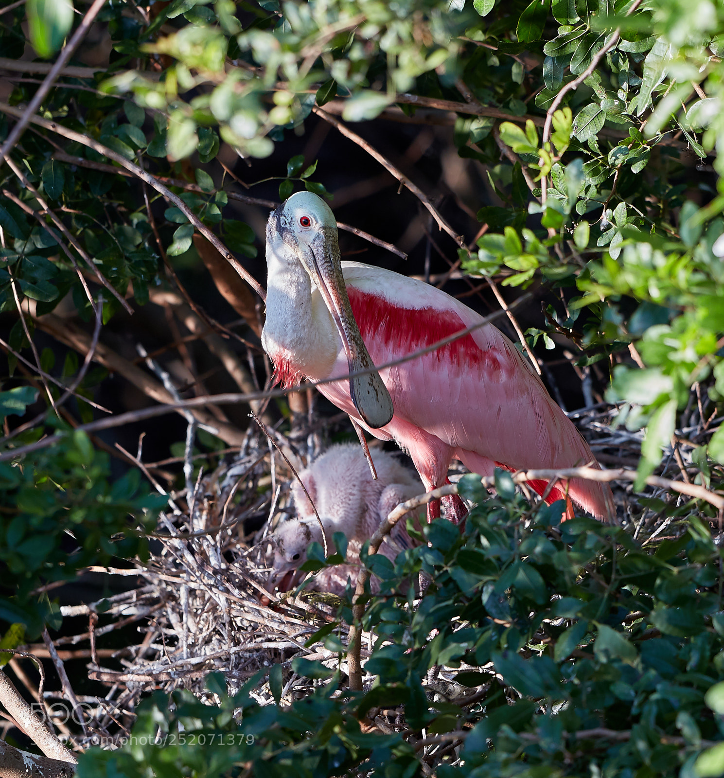Canon EOS 5DS R sample photo. 04-03-18-0010449.jpg photography
