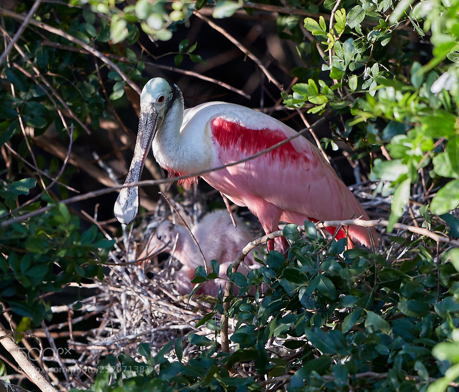 Canon EOS 5DS R sample photo. 04-03-18-0010444.jpg photography