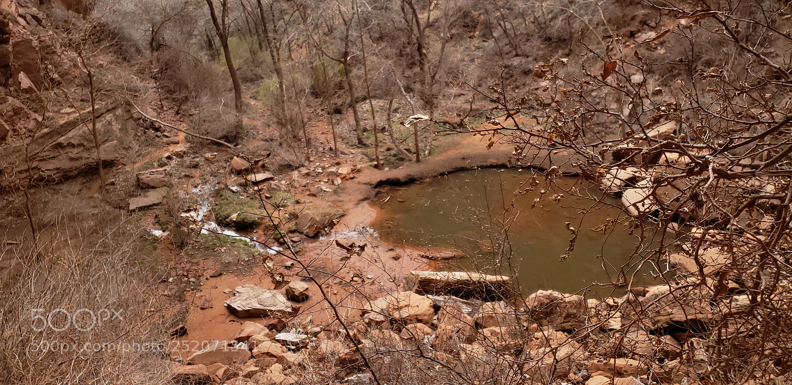 Samsung Galaxy S9 sample photo. Little red pond photography