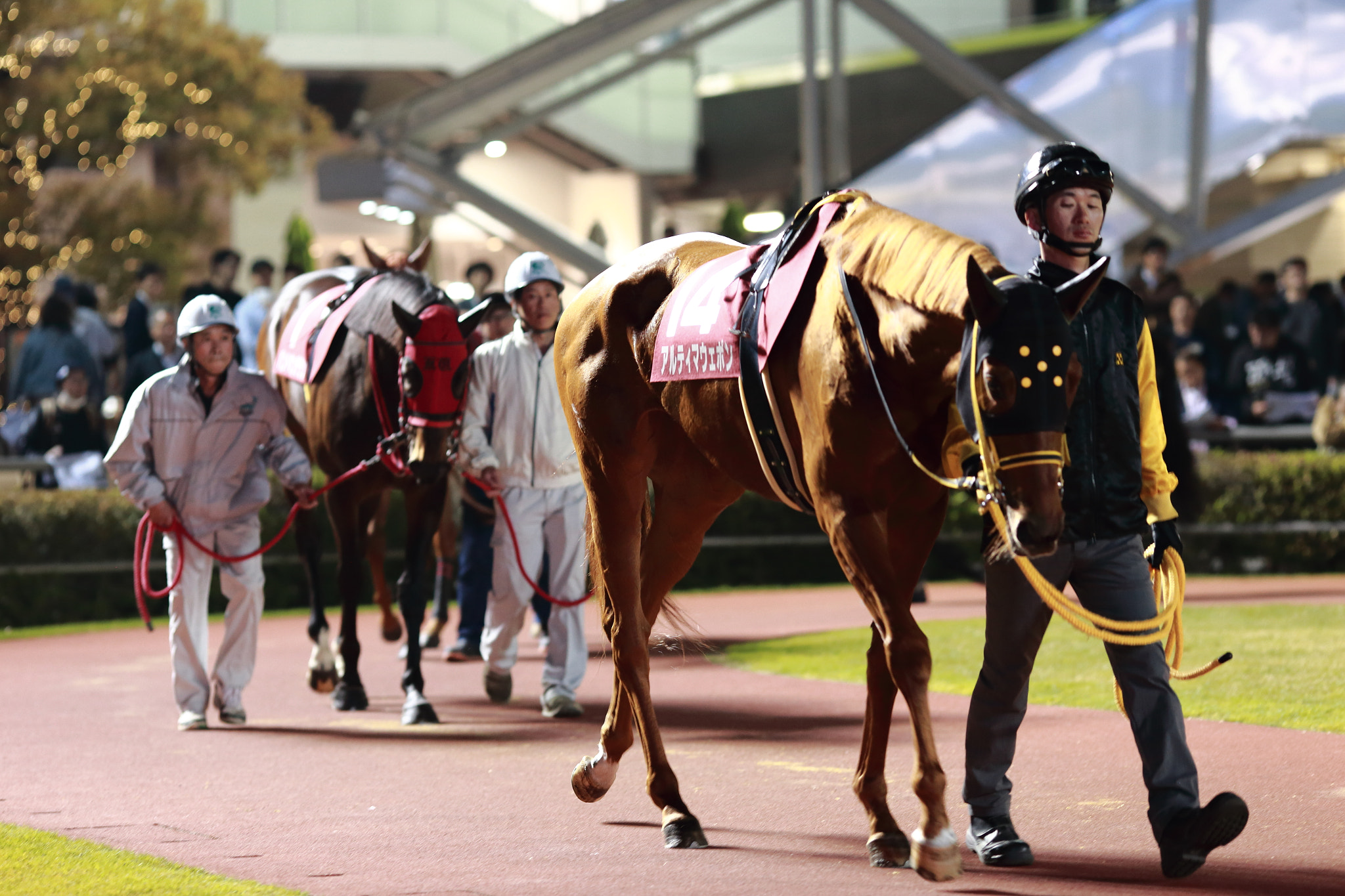 Canon EOS 6D + Canon EF 135mm F2L USM sample photo. Before race photography