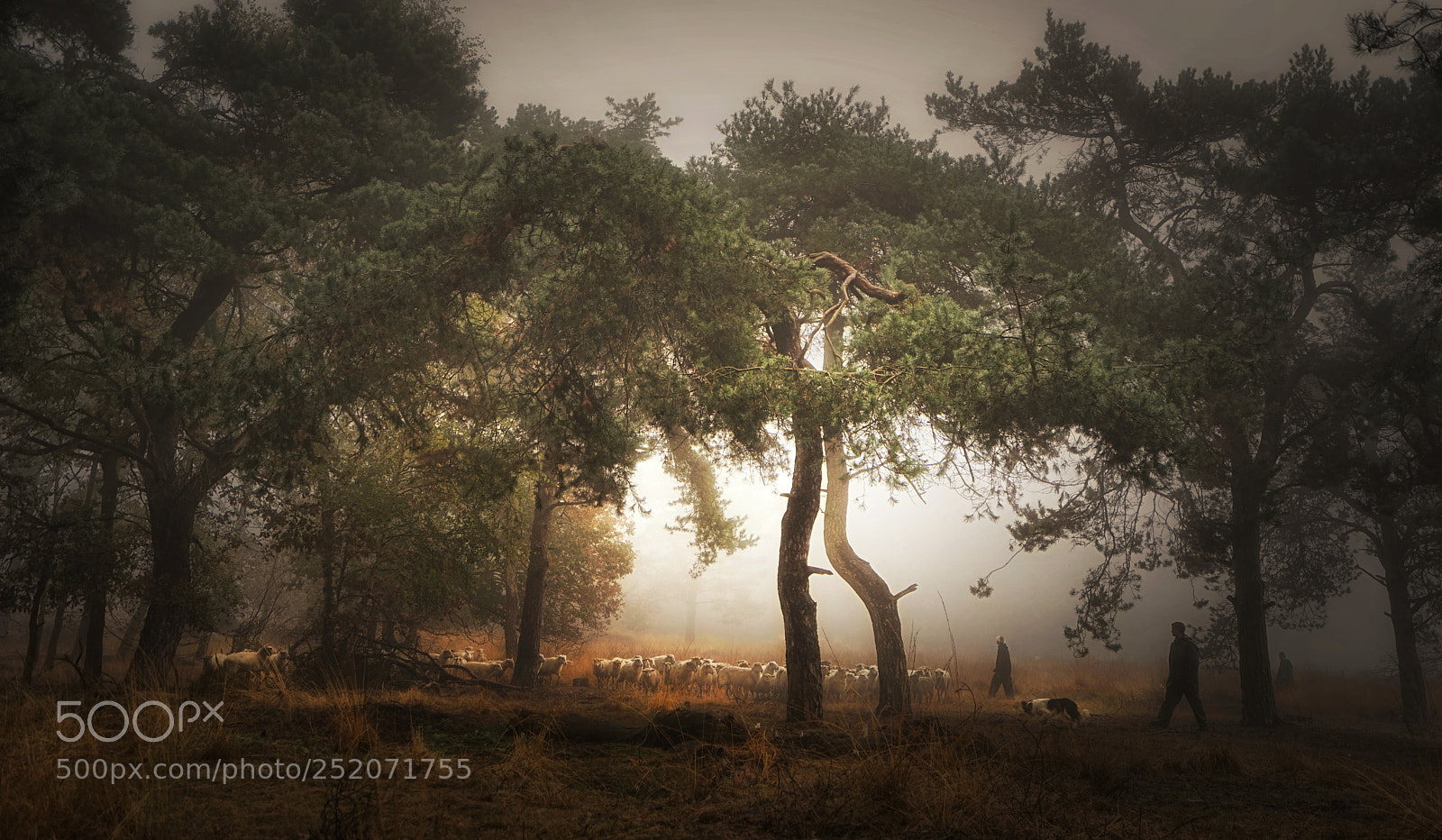 Sony a7R sample photo. Foggy memory photography