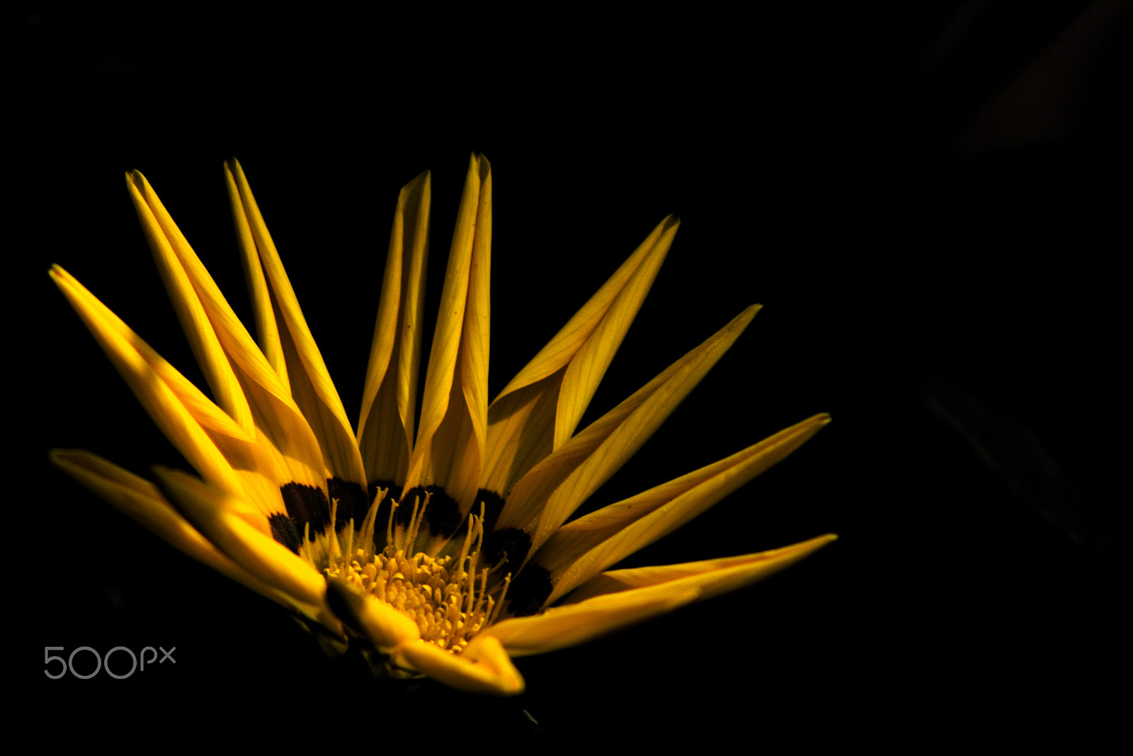 Canon EF 75-300mm f/4-5.6 USM sample photo. Yellow swirl photography