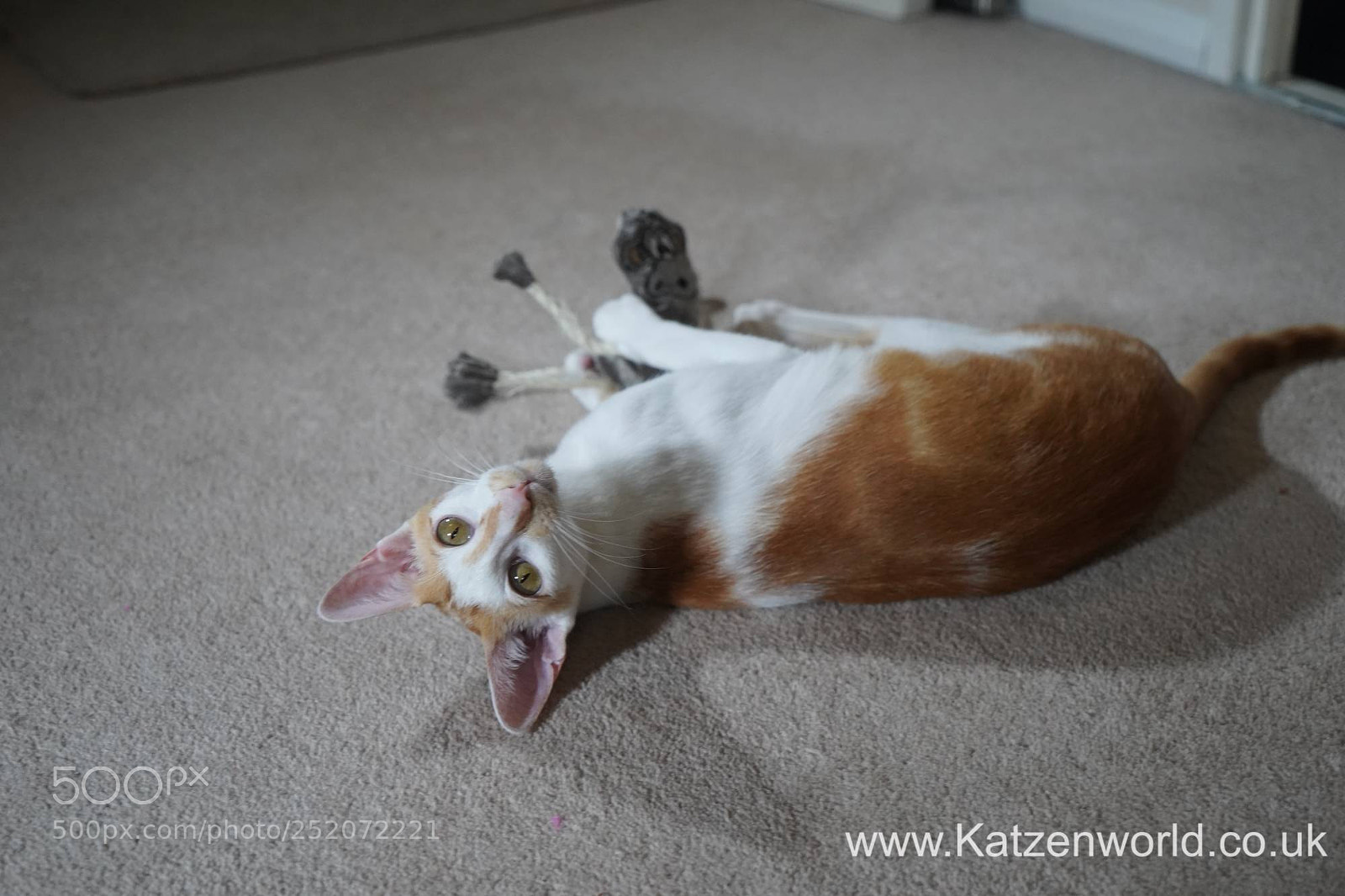 Sony a9 sample photo. Worldwide giveaway win a photography