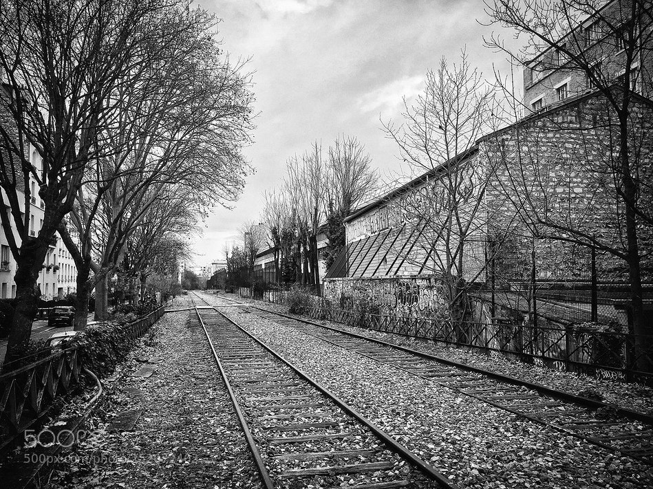 Apple iPhone SE sample photo. Petite ceinture small er photography