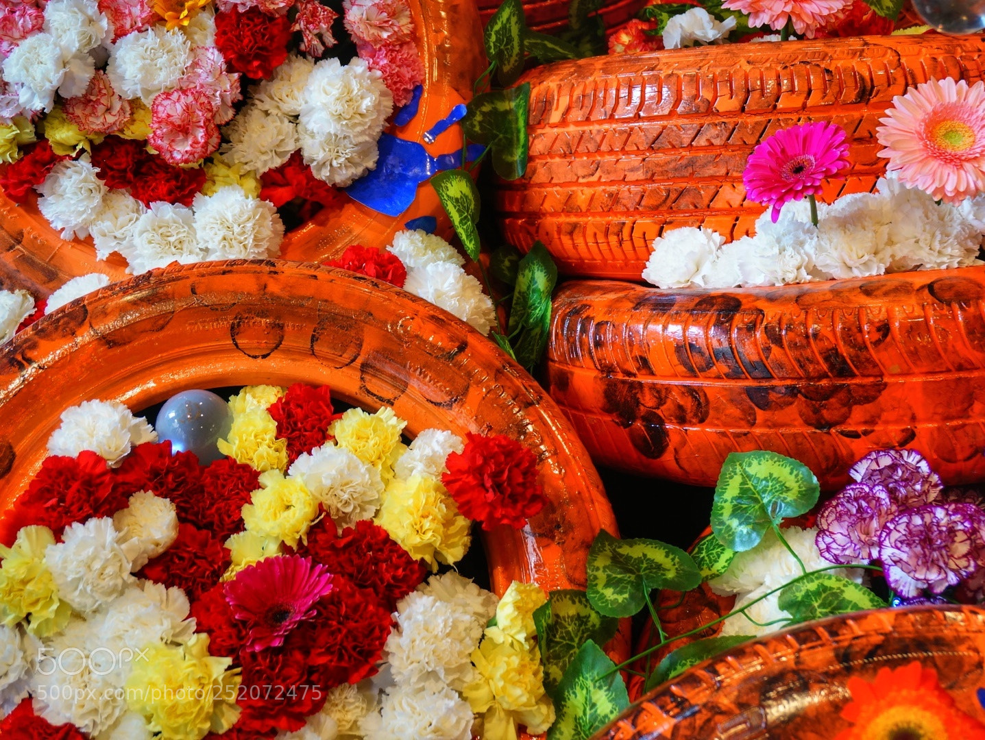Sony Alpha NEX-6 sample photo. Flores photography