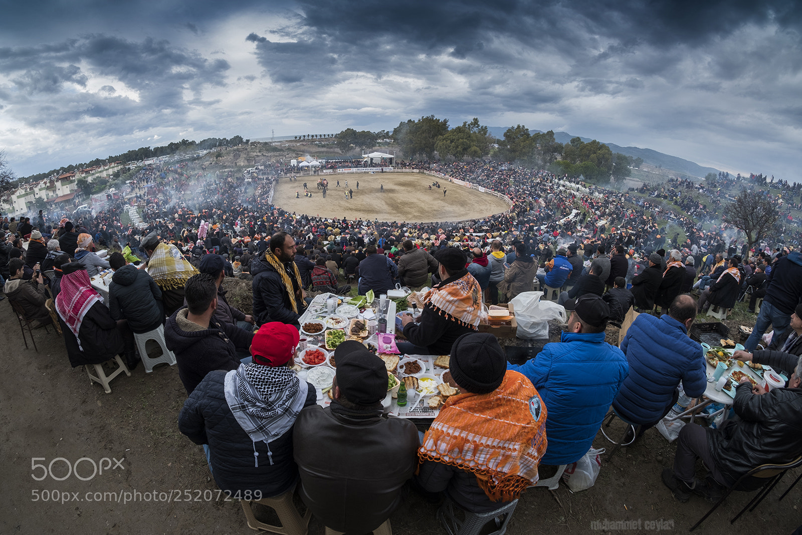 Fujifilm X-T2 sample photo. Camel wrestling festival photography