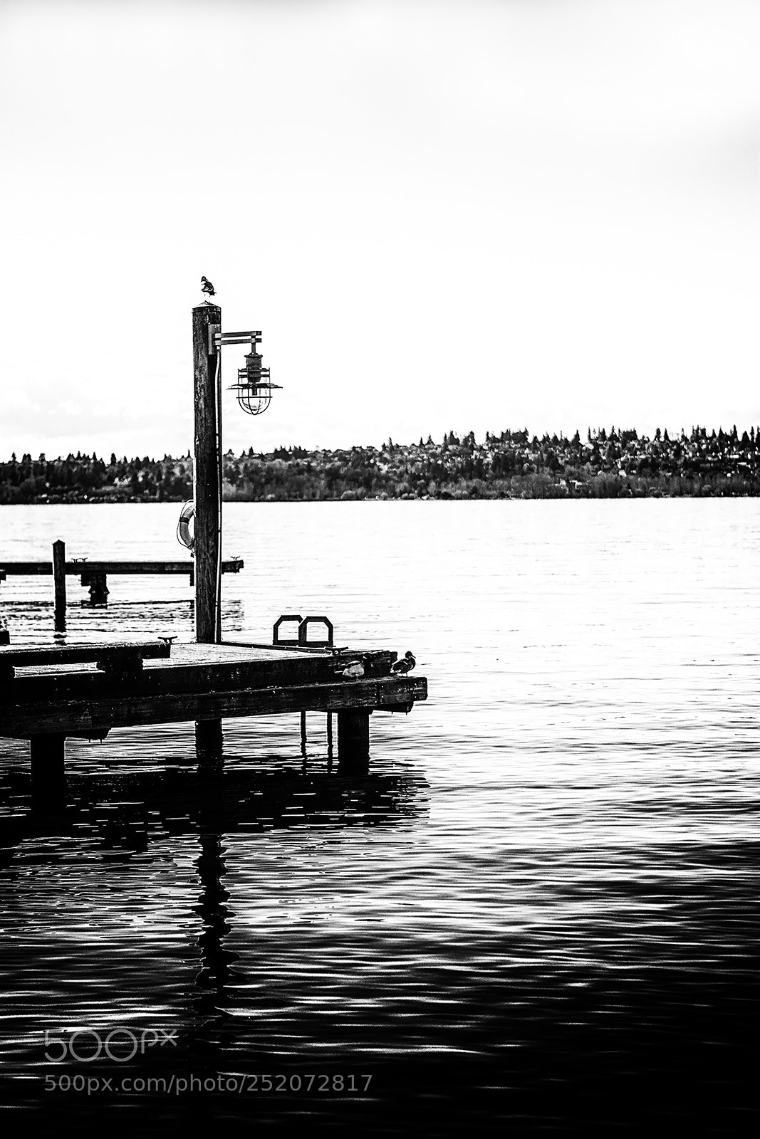 Nikon D7100 sample photo. Silence photography
