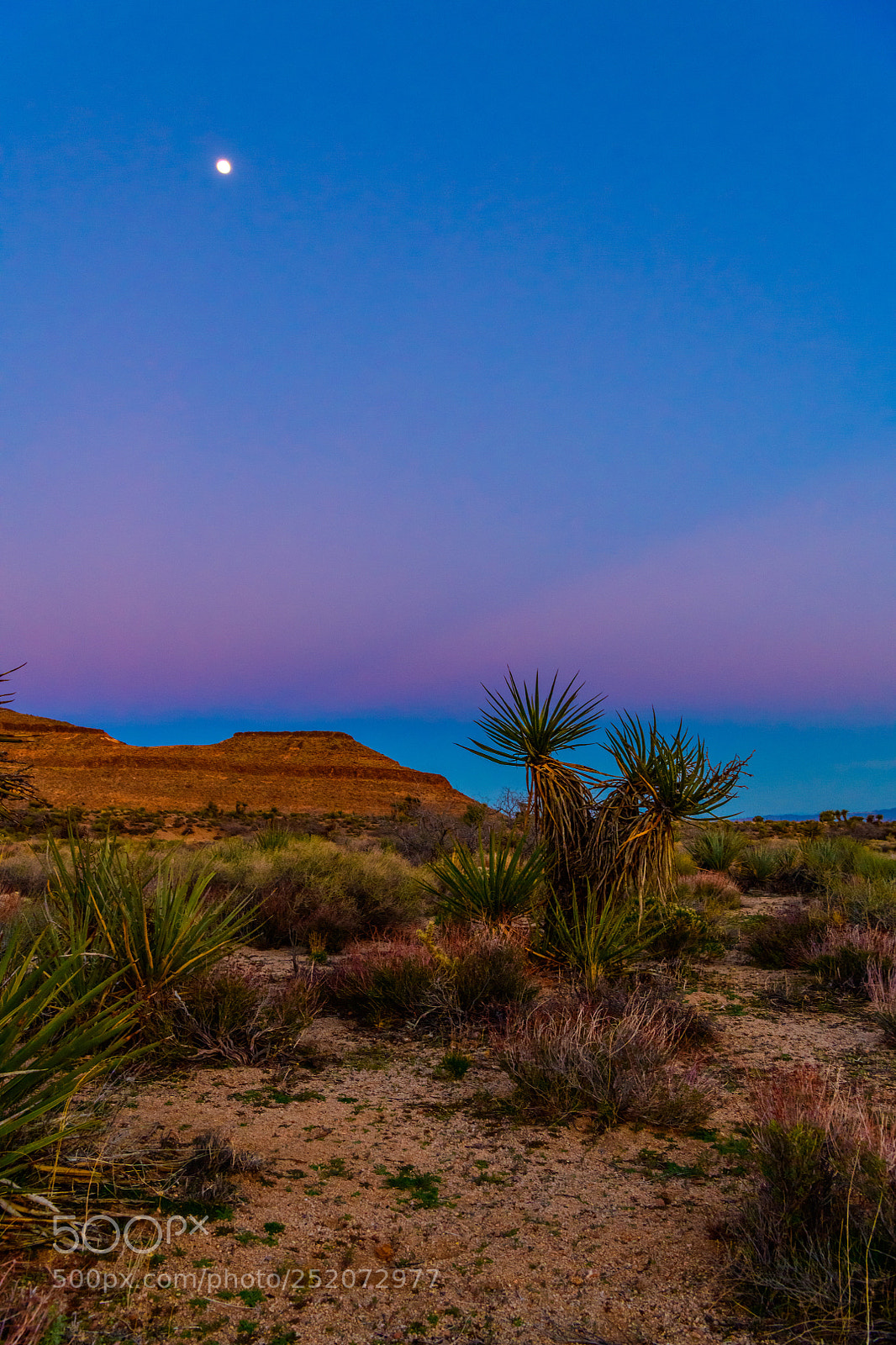 Nikon D850 sample photo. Mojave sunset  photography