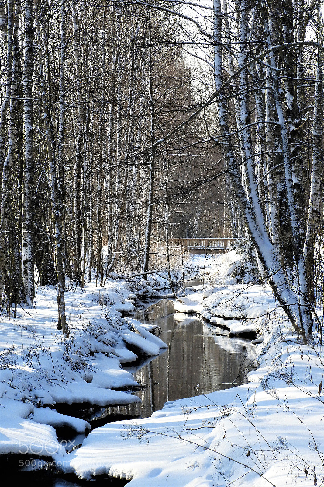 Nikon Coolpix B700 sample photo. Winter mood photography