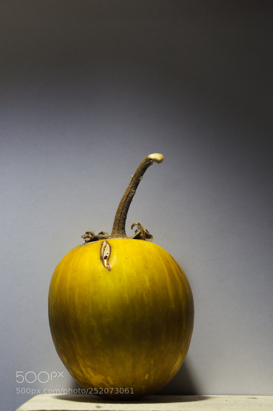 Canon EOS 60D sample photo. Yellow eggplant photography