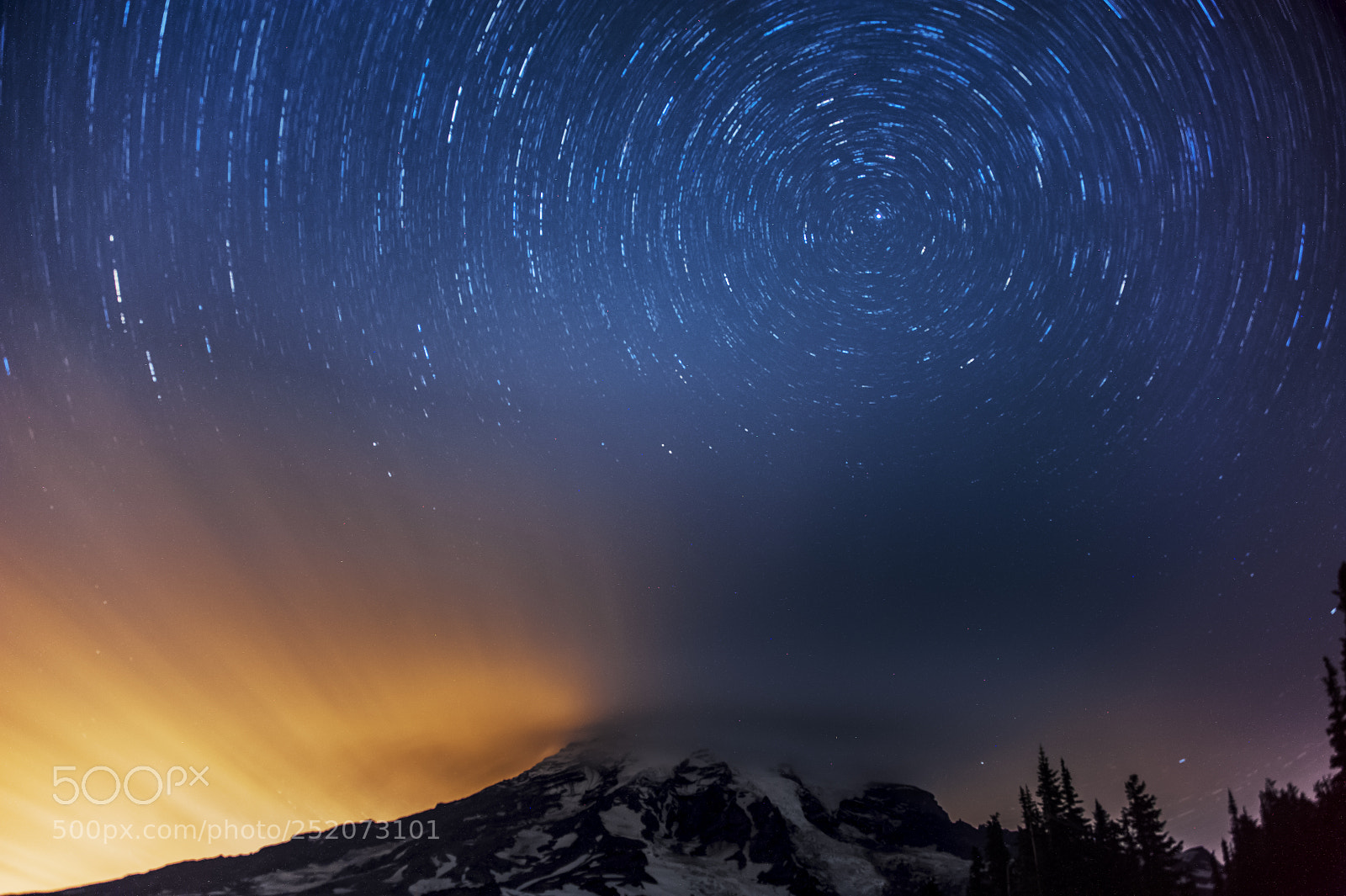 Nikon D700 sample photo. Star trail at paradise photography