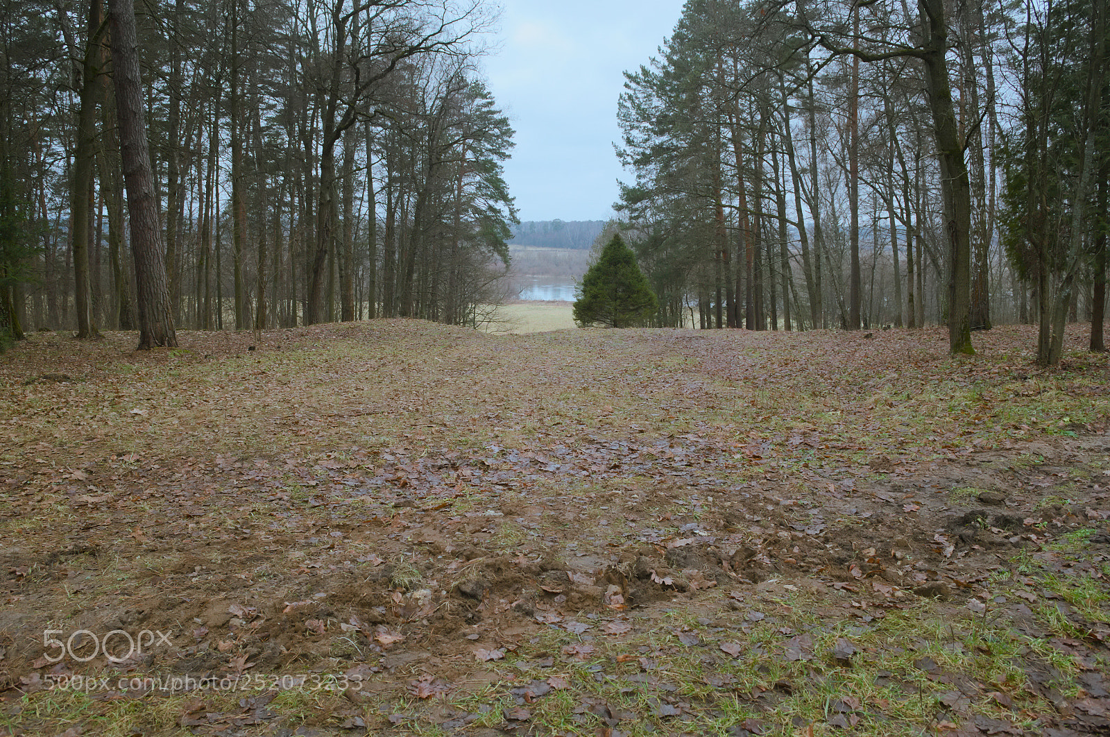 Nikon D3100 sample photo. Descent to the river photography